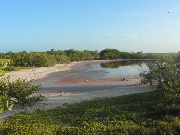 29- Une lagune a Sarqui 